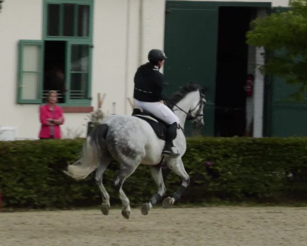 Reitturnier St.Wendel, Gestüt Welvert 2023