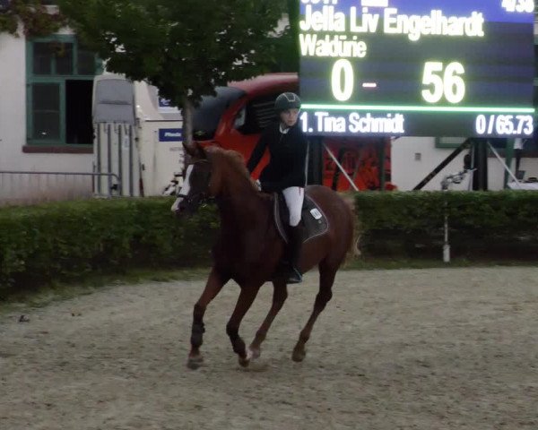 Reitturnier St.Wendel, Gestüt Welvert 2023