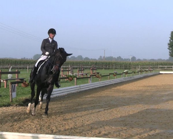 Reitturnier Ostbevern 2023