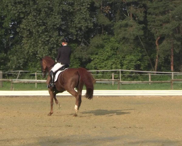 Reitturnier Ostbevern 2023