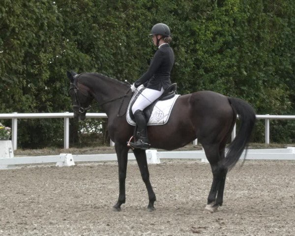 Reitturnier Zillhofen/Obb. 2023