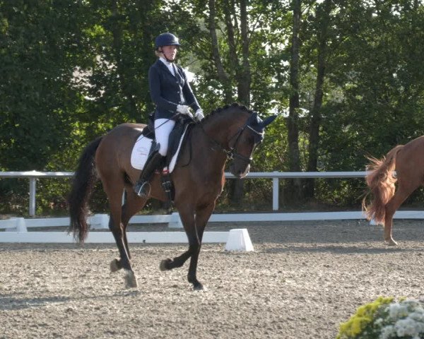 Reitturnier Zillhofen/Obb. 2023