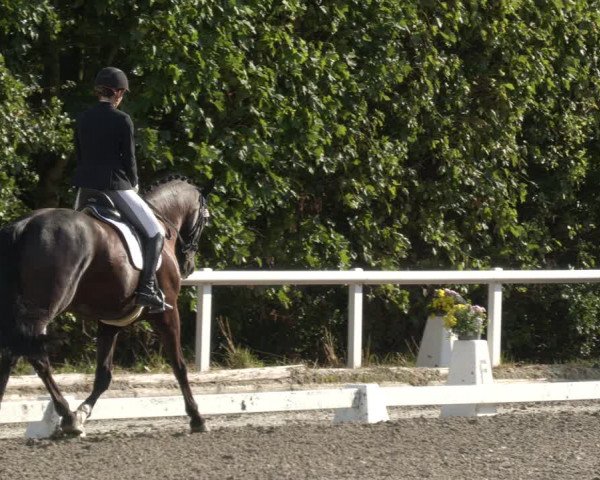 Reitturnier Zillhofen/Obb. 2023