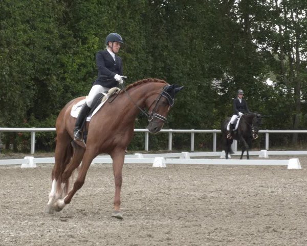 Reitturnier Zillhofen/Obb. 2023