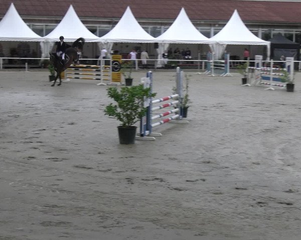 Reitturnier Werne 2023
