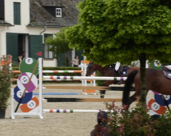 Reitturnier St.Wendel, Gestüt Welvert 2023
