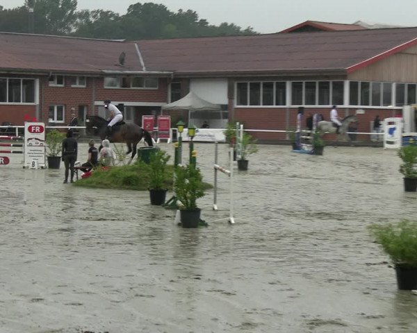 Reitturnier Werne 2023