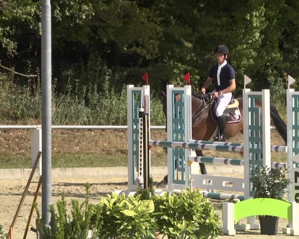 Reitturnier Forst 2021
