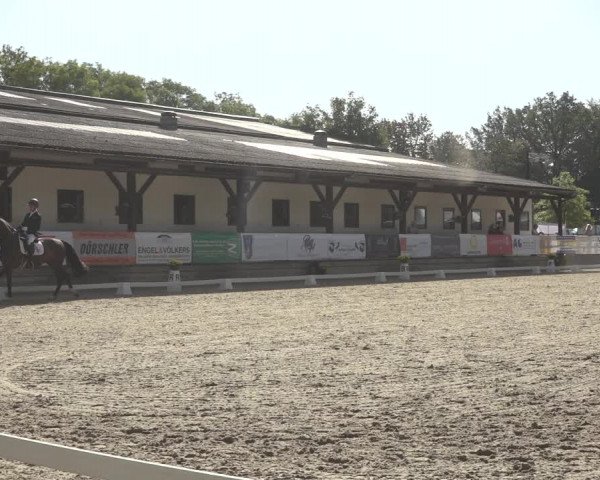 Reitturnier Solingen 2023