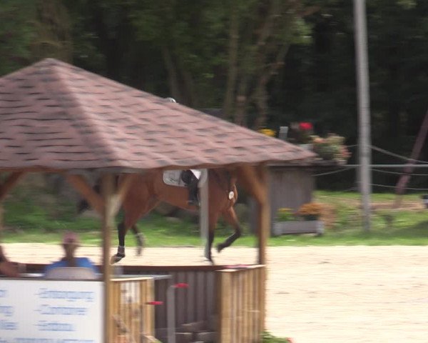 Reitturnier Pietzpuhl 2023
