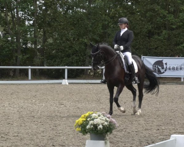 Reitturnier Zillhofen/Obb. 2023