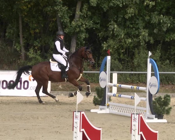 Reitturnier Forst 2021