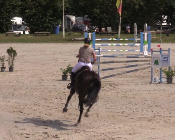 Reitturnier Pietzpuhl 2023