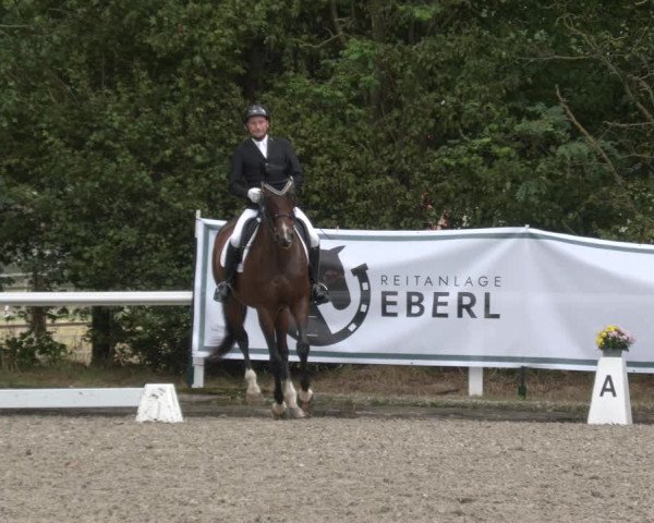 Reitturnier Zillhofen/Obb. 2023