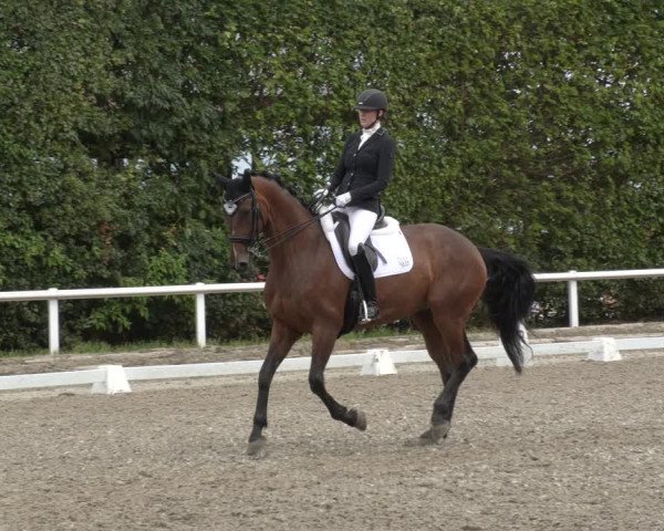 Reitturnier Zillhofen/Obb. 2023