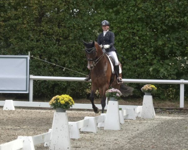 Reitturnier Zillhofen/Obb. 2023