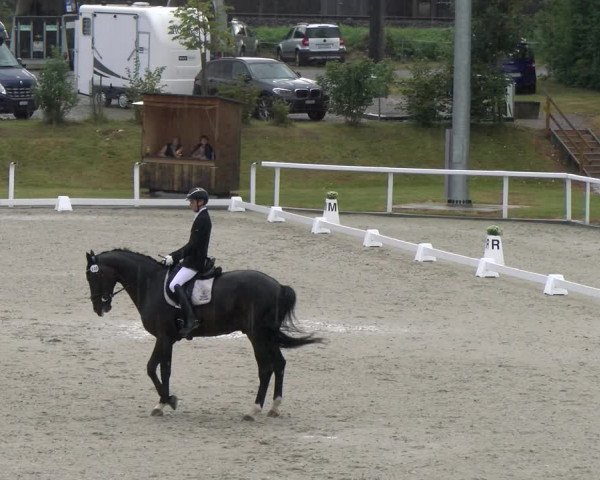 Reitturnier Bülach 2023