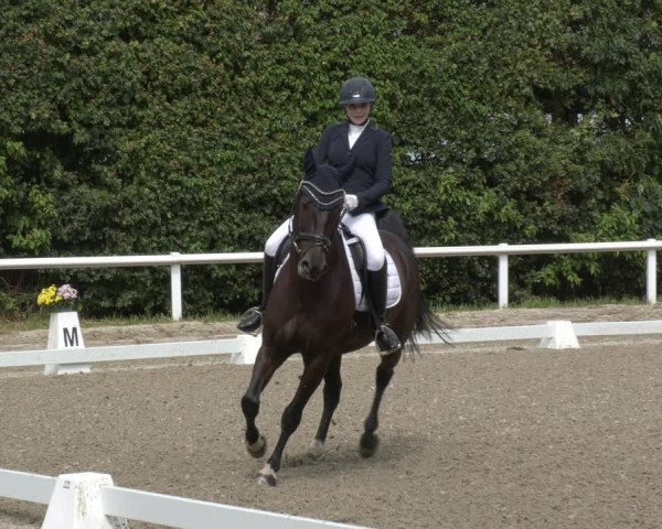 Reitturnier Zillhofen/Obb. 2023