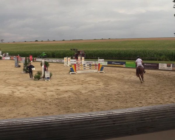 Reitturnier Duderstadt 2023
