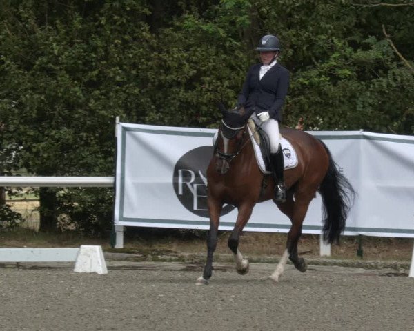 Reitturnier Zillhofen/Obb. 2023