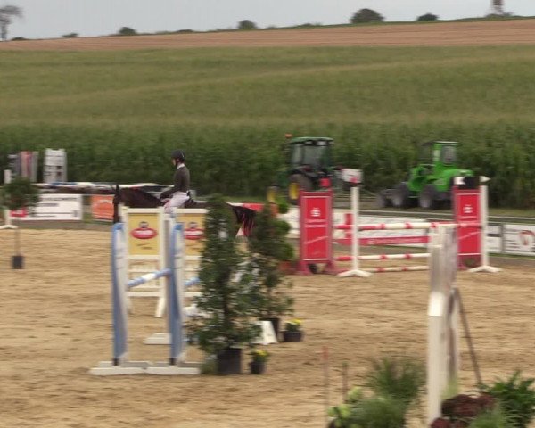 Reitturnier Duderstadt 2023