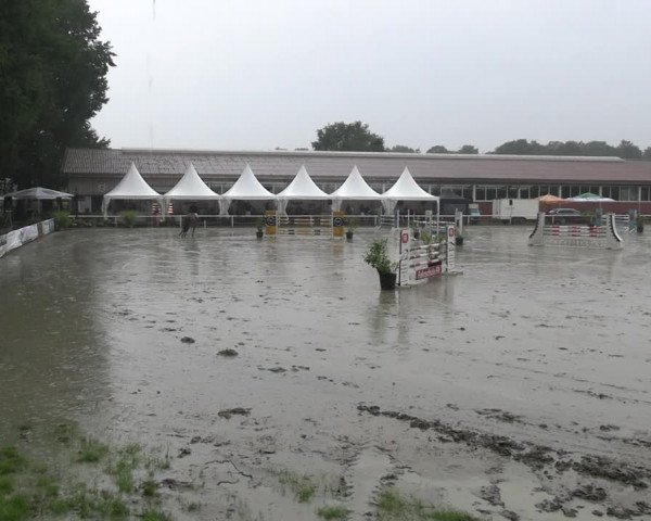 Reitturnier Werne 2023