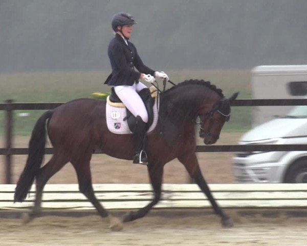 Reitturnier Ostbevern 2023