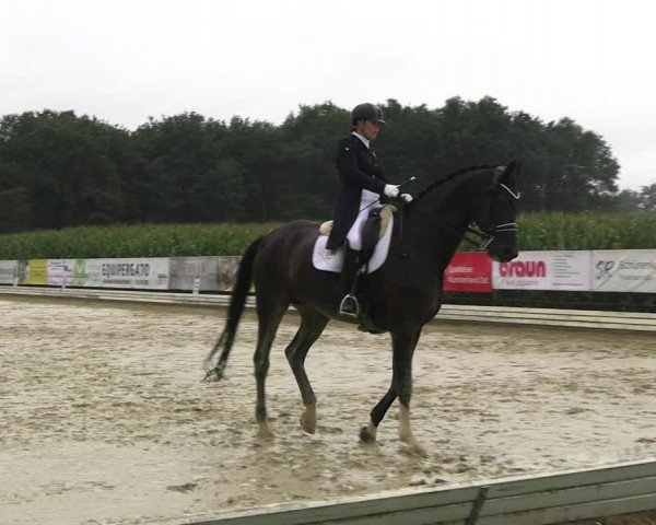 Reitturnier Ostbevern 2023