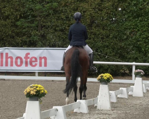 Reitturnier Zillhofen/Obb. 2023