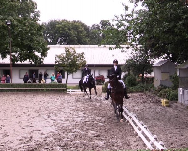 Reitturnier Kirchhellen-RSV Zur Linde 2021