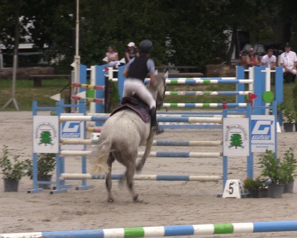 Reitturnier Pietzpuhl 2023
