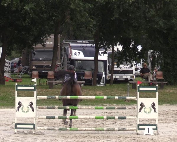 Reitturnier Pietzpuhl 2023