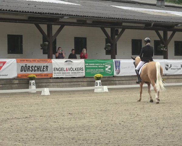 Reitturnier Solingen 2023