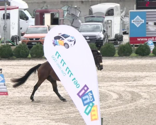 Reitturnier Basel Schänzli 2021