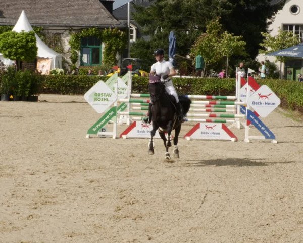 Reitturnier St.Wendel, Gestüt Welvert 2023