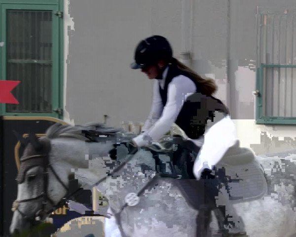 Reitturnier St.Wendel, Gestüt Welvert 2023