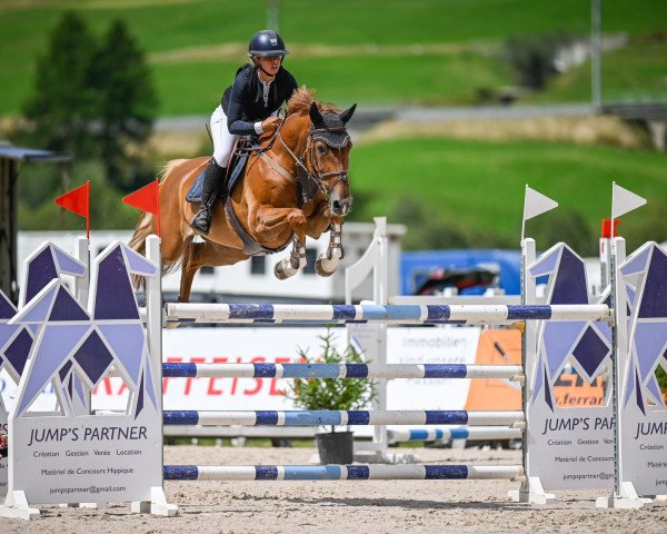 jumper Unyke (Hanoverian, 2012, from Uccello)