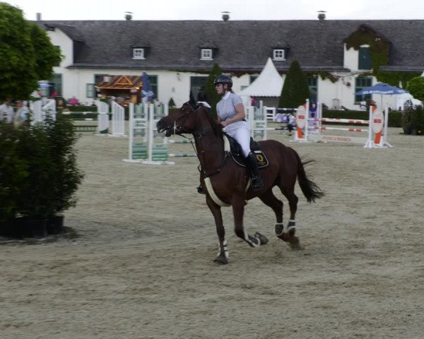 Reitturnier St.Wendel, Gestüt Welvert 2023