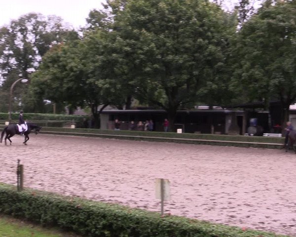 Reitturnier Kirchhellen-RSV Zur Linde 2021