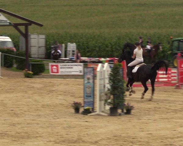 Reitturnier Duderstadt 2023