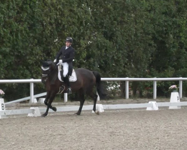 Reitturnier Zillhofen/Obb. 2023