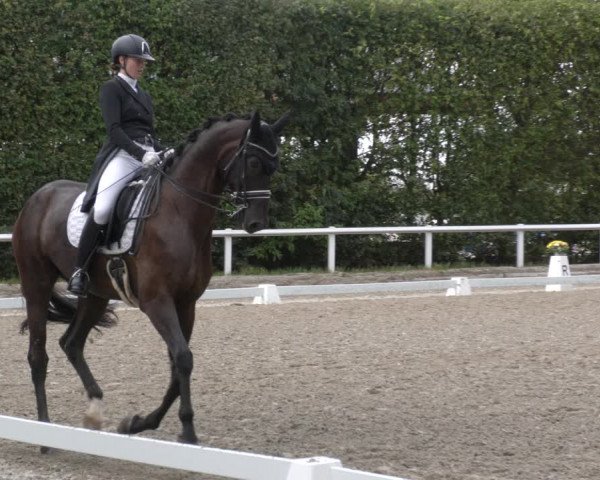 Reitturnier Zillhofen/Obb. 2023