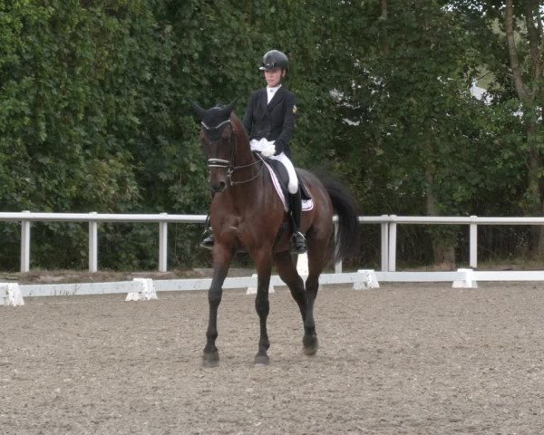 Reitturnier Zillhofen/Obb. 2023
