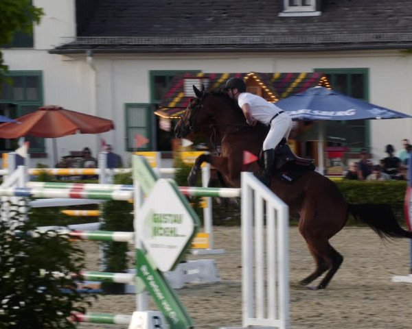 Reitturnier St.Wendel, Gestüt Welvert 2023