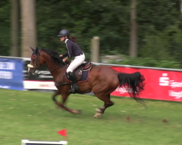 Reitturnier Lengenfeld/Vogtl. 2023