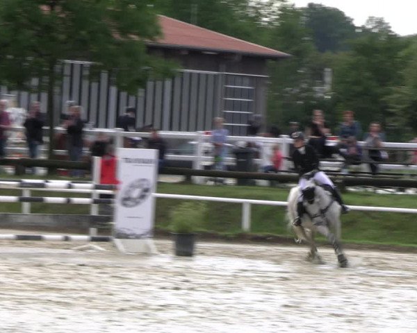 Reitturnier Werne 2023