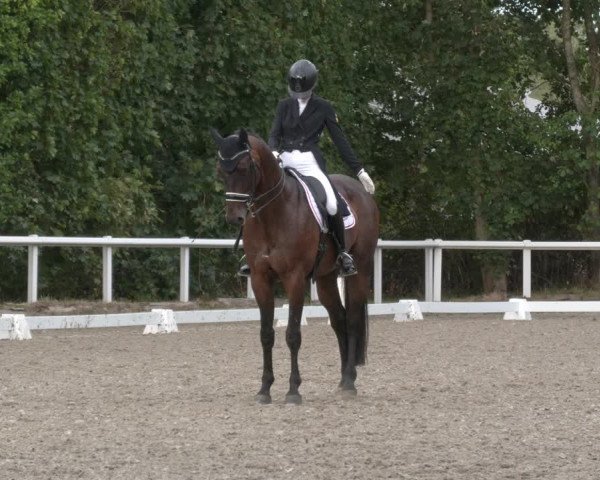 Reitturnier Zillhofen/Obb. 2023
