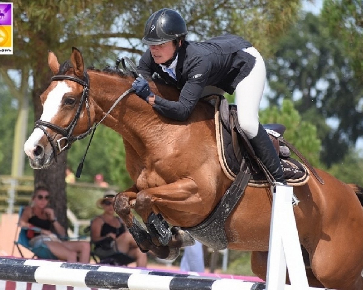 horse Cassandre Meniljean (French Pony, 2012, from Tricky Choice du Pena)