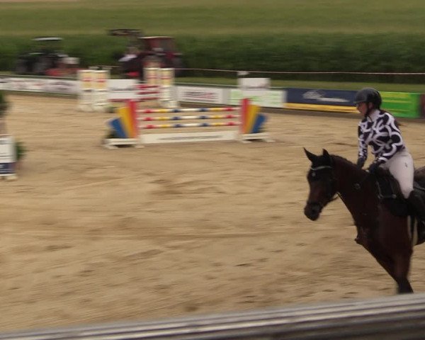Reitturnier Duderstadt 2023