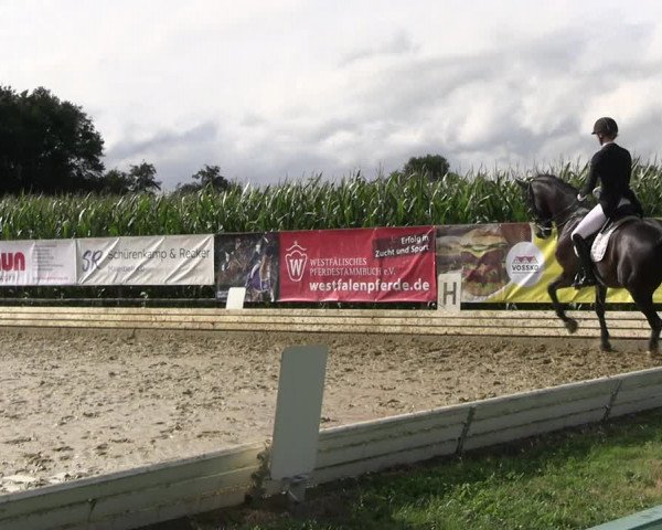 Reitturnier Ostbevern 2023